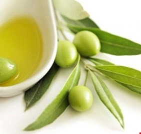 أوراق الزيتون.. علاج 