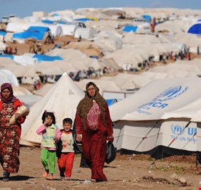 وزارة الهجرة: لأسباب 