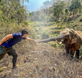 تايلاند.. فيل بري يتعرف على بيطري عالجه قبل 12 عاما