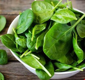 دراسة تدعم سر فائدة 