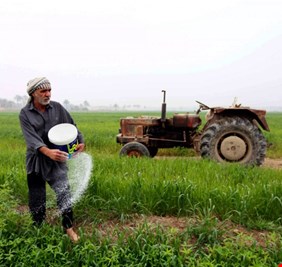 زرع في العراق .. مؤتمر لدعم المنتوج المحلي الاسبوع المقبل