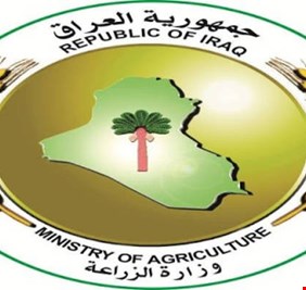 الزراعة: سيتم تسعير طبقة البيض والدجاج للسيطرة على السوق