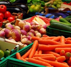 الزراعة تحدد المواد الممنوعة من الاستيراد وتتحدث عن الاسعار