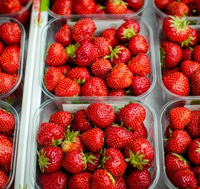 العراق ثالث بلد باستيراد الفراولة التركية من بين 29 دولة