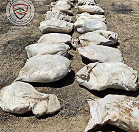 الأمن الوطني يضبط طناً من المتفجرات المعدة للاستخدام بعمليات إرهابية في بغداد