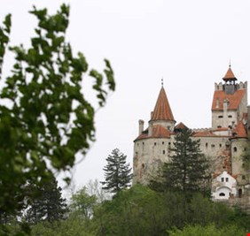 مصاصو الدماء في قصر دراكولا يقدمون جرعات من لقاح كورونا