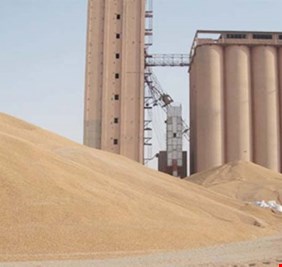 ديالى تفرض اجراءات مشددة لمنع تدفق الحنطة المستوردة عبر كردستان الى سايلوات المحافظة