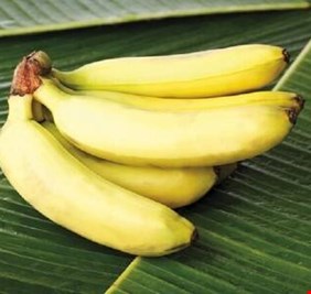 خبيرة تغذية توضّح فوائد قشر الموز