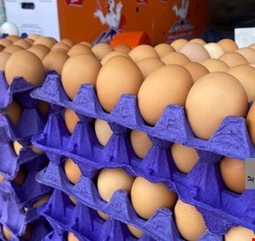 لماذا أرتفعت أسعار البيض والدجاج في العراق بشكل جنوني؟  