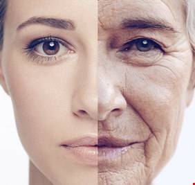 كيف تؤثر التغذية على ظهور علامات الشيخوخة؟