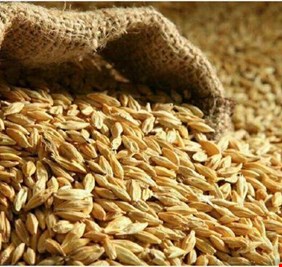 الزراعة تعلن سداد مستحقات الفلاحين والمزارعين لعامي 2019-2020