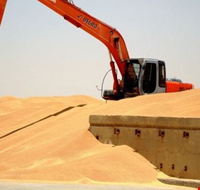 الزراعة تطلق المستحقات المالية لمسوقي القمح والشعير