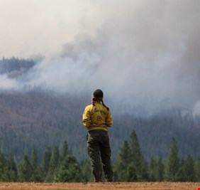 باحثون يكشفون عن 