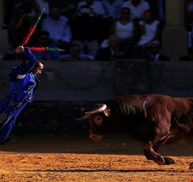 جدل في فرنسا بسبب 