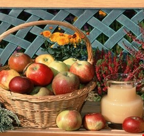 صحياً.. كم تفاحة يمكننا أن نأكل في اليوم؟