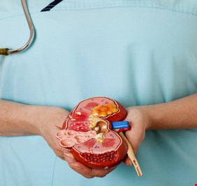 المؤشرات السبعة للمعاناة من حصوات الكلى!