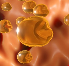 دراسة: 4 ملاعق كبيرة من زيت معين في اليوم قد تخفض الكوليسترول في الدم!