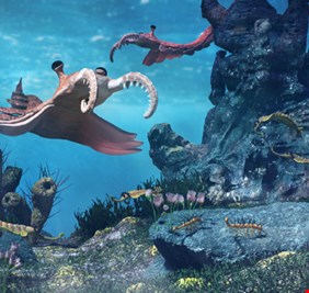 اكتشاف أنواع حيوانية ضخمة جديدة في صخور عمرها 500 مليون عام!