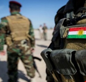 نائب كردي يتحدث عن 12 ألف متقاعد 