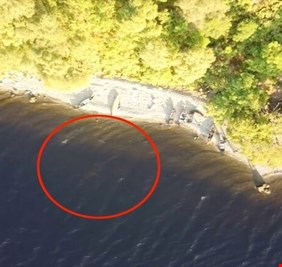 نيسي .. وحش بحيرة لوخ نيس الأسطوري يثير الجدل من جديد