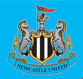 أندية البريميرليغ تصدم نيوكاسل ومانشستر سيتي وملاكهم العرب