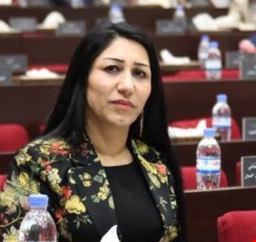 مدافعة عن رفع سعر الدولار في العراق.. دلير: دول عدة اتخذت ذات القرار وكان مردوده إيجابياً