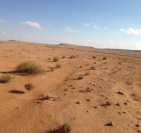 مئات المليارات من الدولارات مدفونة تحت الأرض.. العراق يبحث عن الكنز المفقود في صحرائه الغربية..