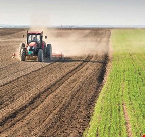 الزراعة: نسعى لتحقيق الأمن الغذائي للمواطن