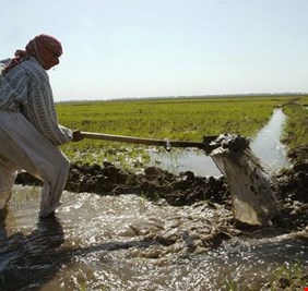 الزراعة تؤكد ضرورة توفير الأسمدة للفلاحين بأسعار مناسبة