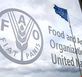 العراق يستعد لطرح ملف المياه على منظمة الأغذية والزراعة (الفاو)