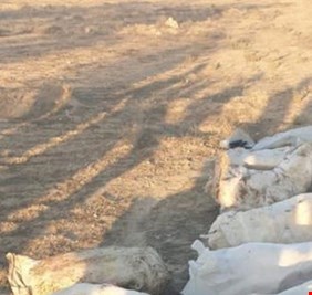 الامن الوطني يتمكن من ضبط كميات كبيرة من متفجرات السي فور في الطارمية
