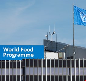 الفاو تكشف عن مساهماتها في العراق لدعم المزارعين والتخفيف من الفقر