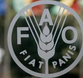 ارتفاع قياسي في أسعار الغذاء العالمية