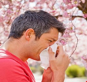 لماذا تظهر أعراض حساسية الربيع مبكرا هذا العام؟