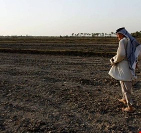 الموارد: الخطة الزراعية الصيفية ستكتمل خلال الشهرين المقبلين