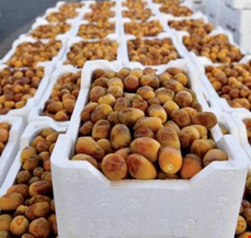 اغلبها للخليج.. العراق يكشف صادراته من التمور