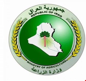 الزراعة تطلق توقعاتها لانتاج الحنطة وتطمئن الفلاحين بشأن مستحقاتهم