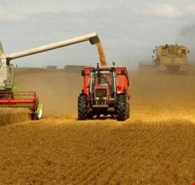 صعود العقود الآجلة للقمح مع تنامي مخاوف فرض مزيد من العقوبات على روسيا