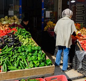 الزراعة والتجارة تستنفران جهودهما لمنح إجازات استيراد المواد الزراعية
