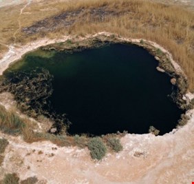 بالفيديو: معجزة لؤلؤة الصحراء.. الحياة تدبّ في بحيرة ساوة