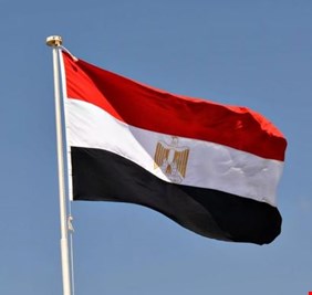 مصر تكشف عن حجب أوكرانيا القمح عنها