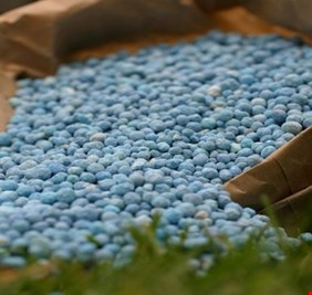 بمعدل ألف طن يوميا.. شركة صناعة الأسمدة: سنعاود انتاج سماد اليوريا مطلع الشهر المقبل