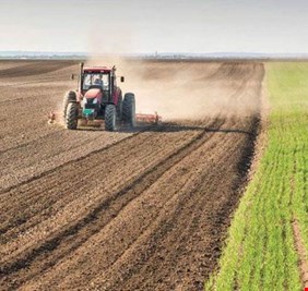 المالية العراقية تخصص 500 مليار دينار جديدة لدعم مستحقات الفلاحين والمزارعين