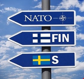 خبير يوضح سبب رفض انضمام فنلندا إلى حلف الناتو بدون السويد