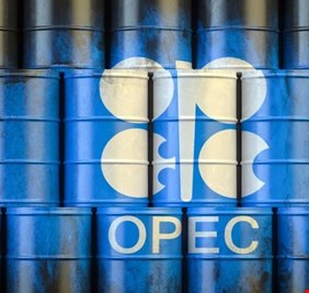 سلة اوبك تتراجع وتسجل 113 دولاراً للبرميل