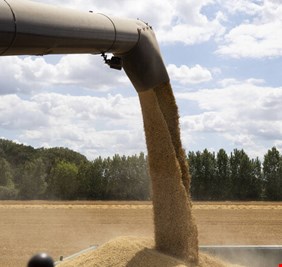 واشنطن تدعو مجموعة العشرين للضغط على روسيا في مسألة الحبوب الأوكرانية