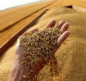 الغارديان تحذر من أزمة الغذاء العالمية.. لا وقت للهدر