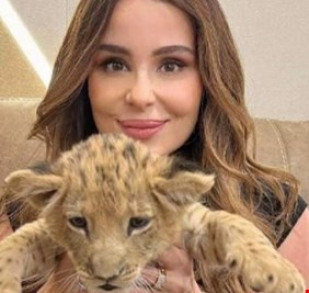 أسد كارول سماحة يورطها مع القوانين المصرية.. ما القصة؟