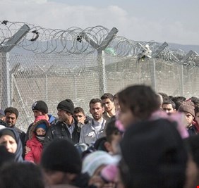 الأمم المتحدة: مات ما لا يقل عن 20 مهاجرا في الغابات على الحدود بين بولندا وبيلاروس