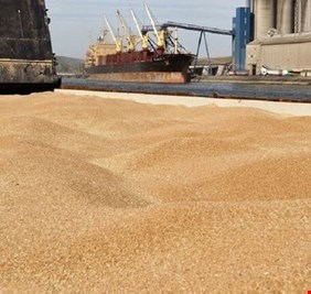سلطات كييف تنوي تصدير الحبوب من موانئها بما لا يزيد عن ثلاث سفن يوميا
